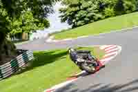 cadwell-no-limits-trackday;cadwell-park;cadwell-park-photographs;cadwell-trackday-photographs;enduro-digital-images;event-digital-images;eventdigitalimages;no-limits-trackdays;peter-wileman-photography;racing-digital-images;trackday-digital-images;trackday-photos